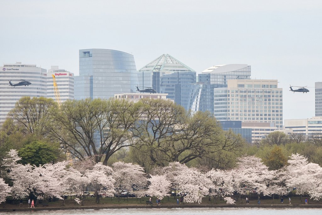 Blossoms, helicopters, and Rosslyn skyline