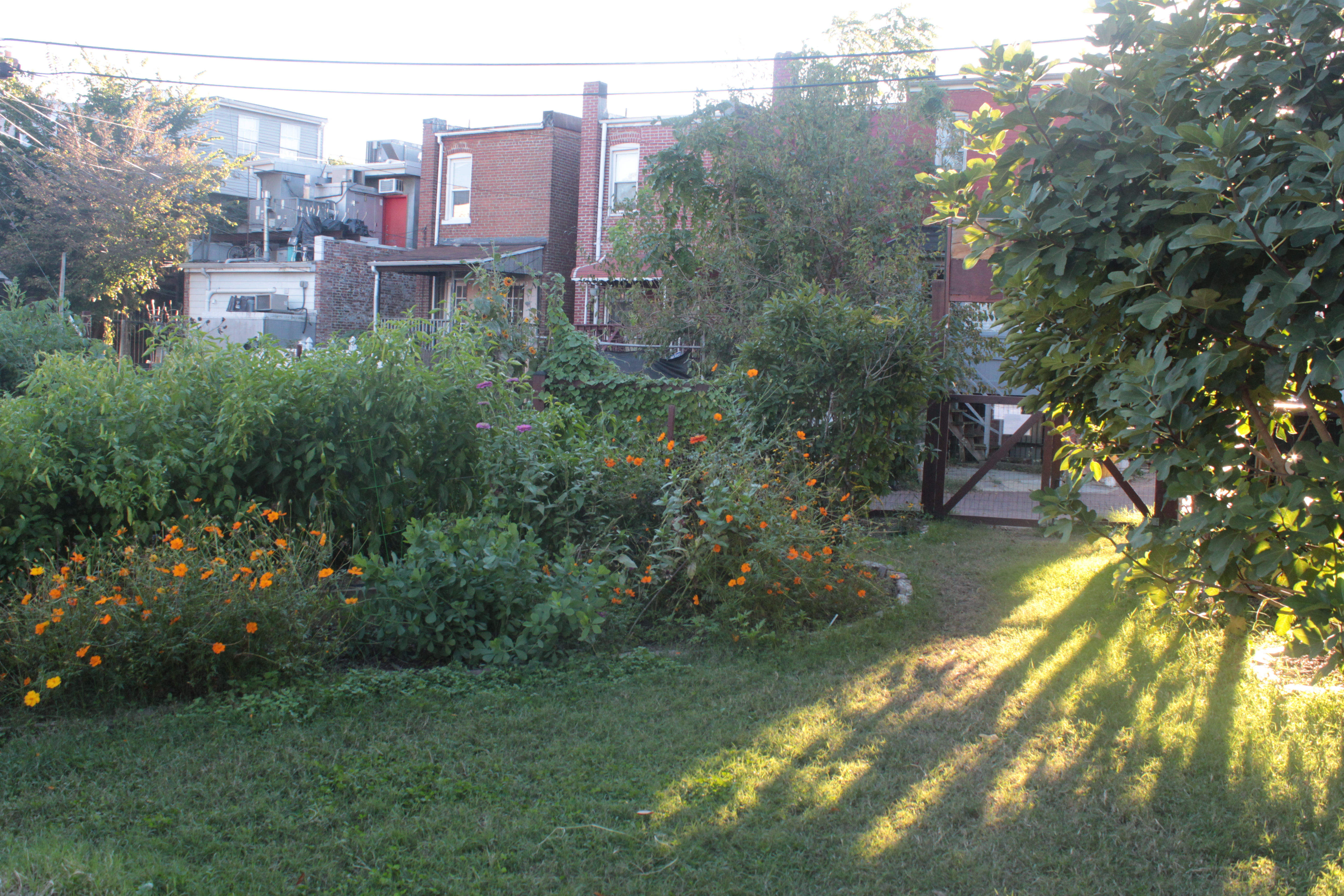 Outside the garden