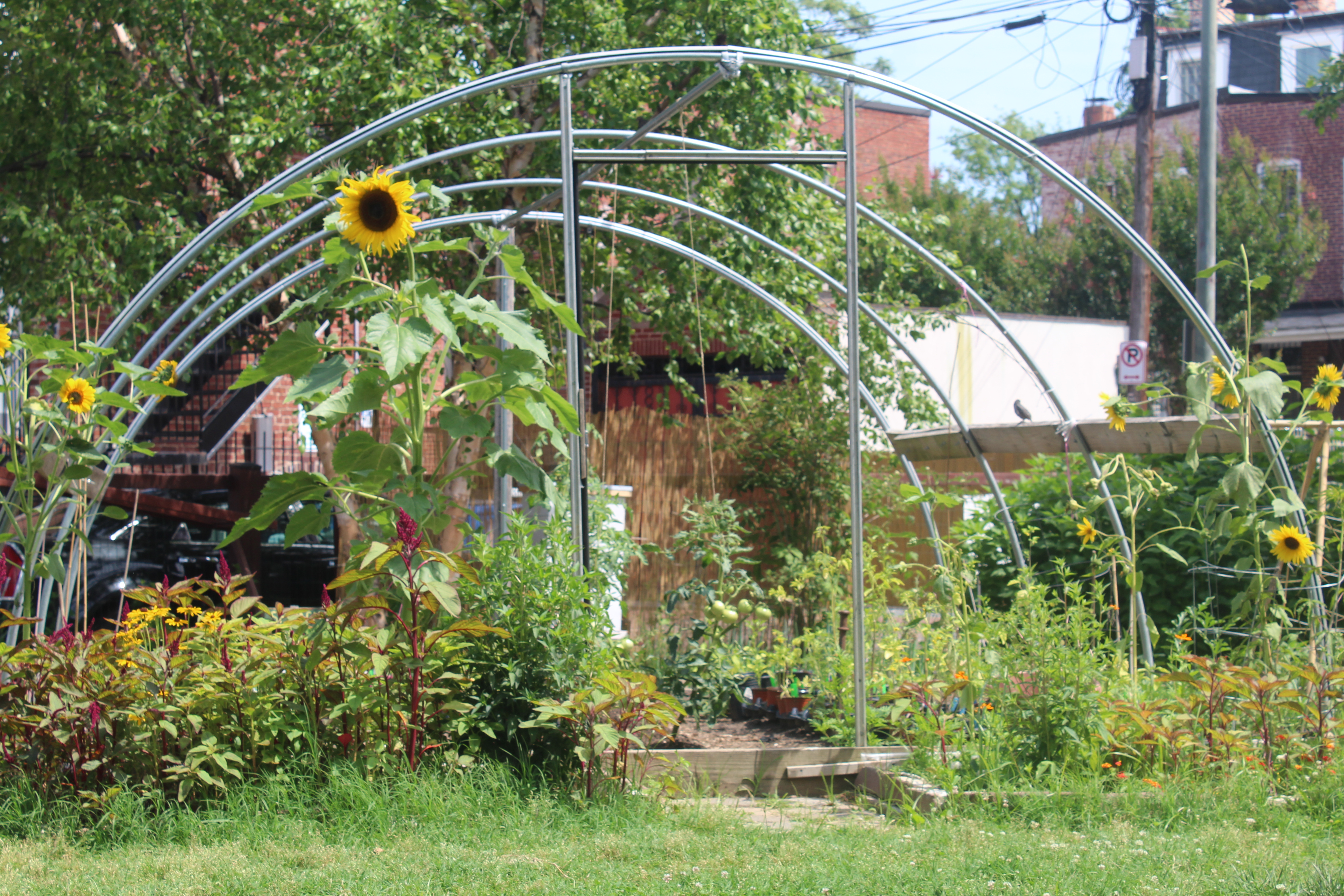 Wire hoop with vines