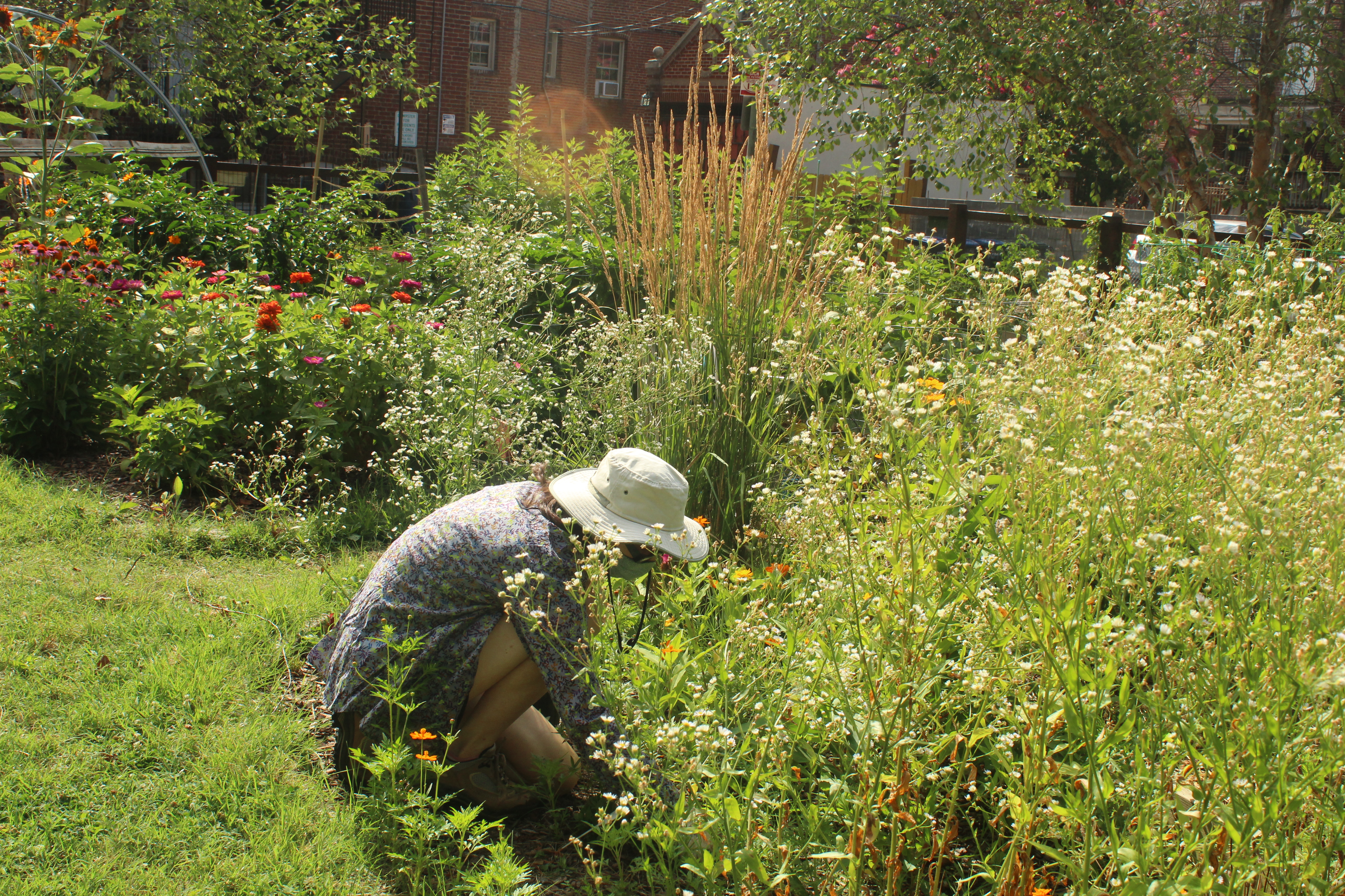 Workers in the garden