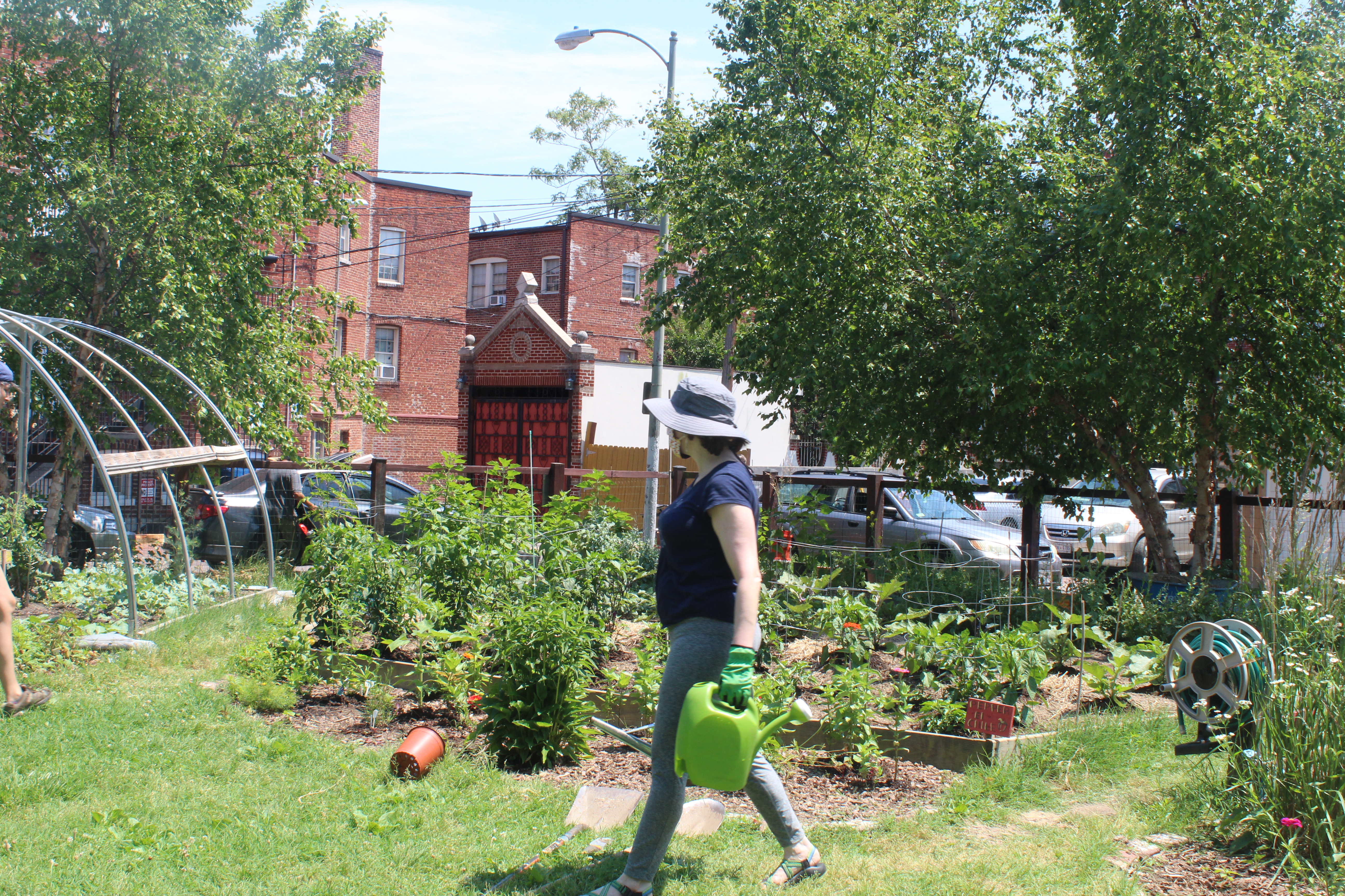 Workers in the garden