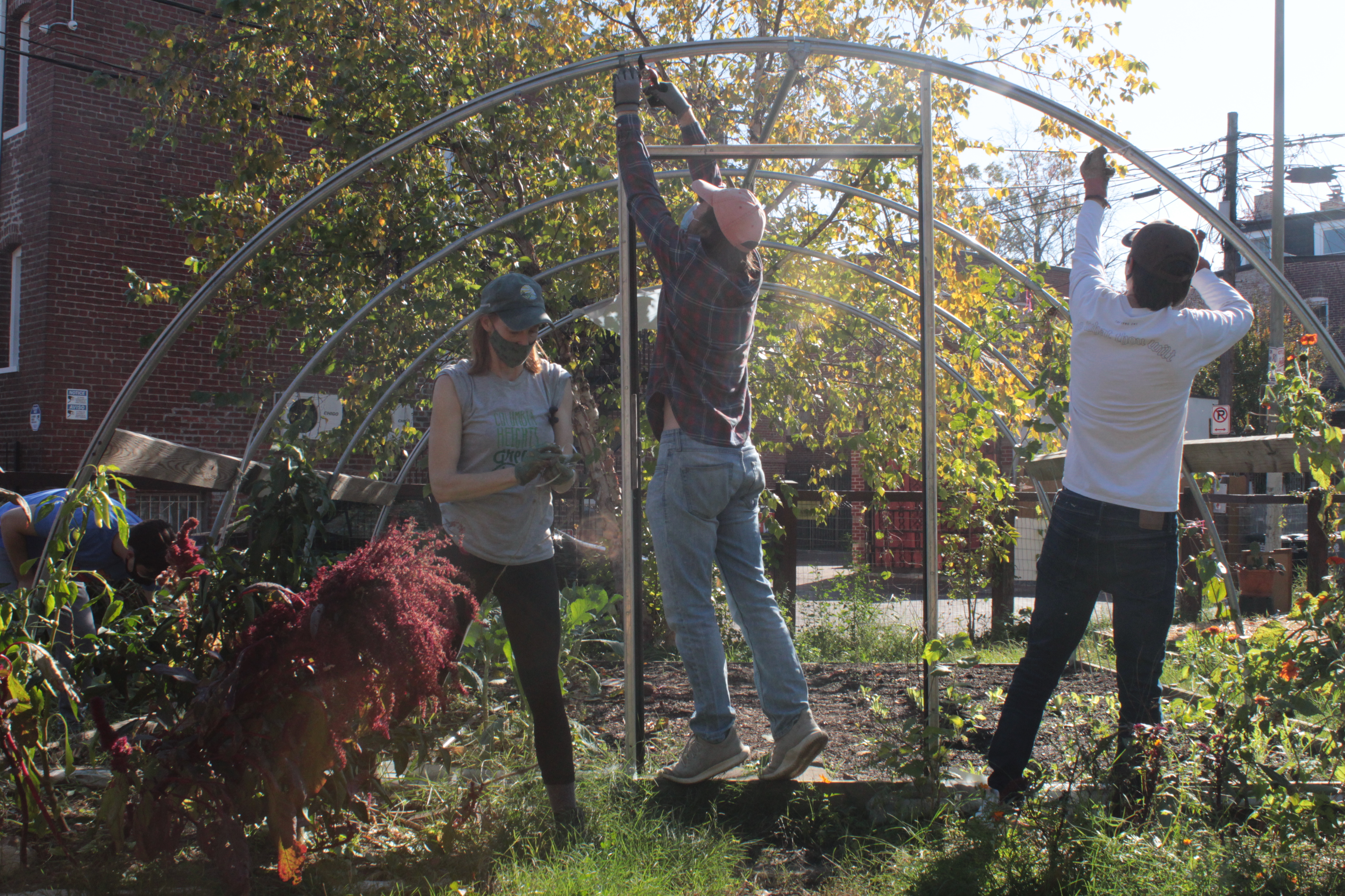 Workers in the hoop house