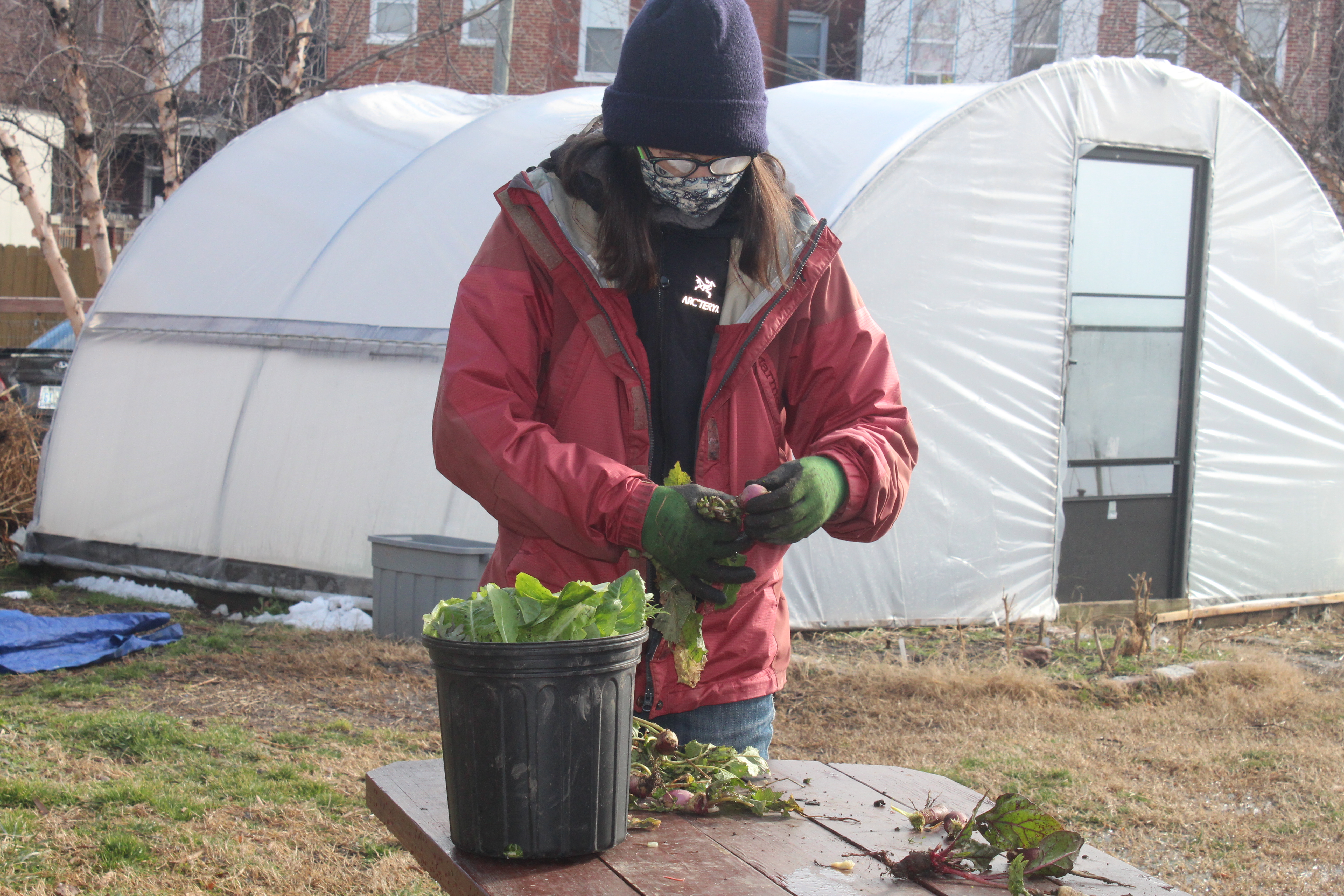 Worker in the garden